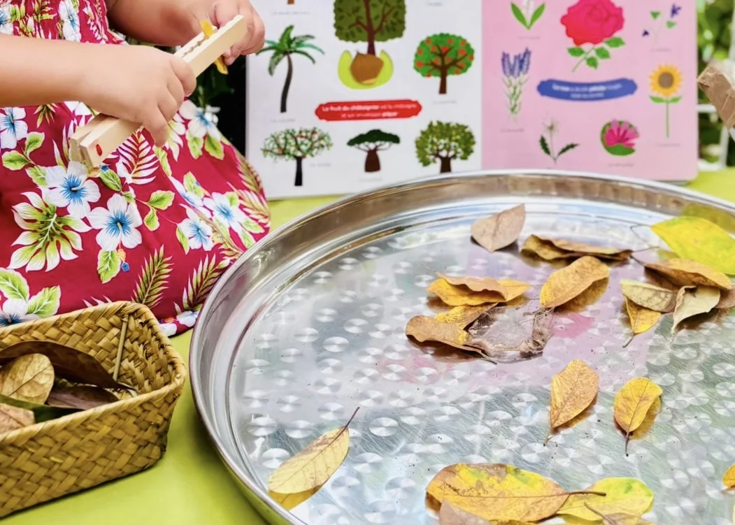 L’atelier nature — Les Makis